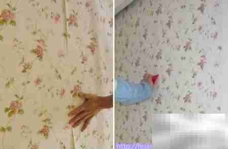 诗韵家居：墙纸验收要点