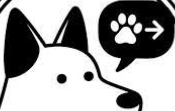 兽语翻译在线使用教程与注意事项