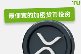 如何选择有升值潜力的数字货币