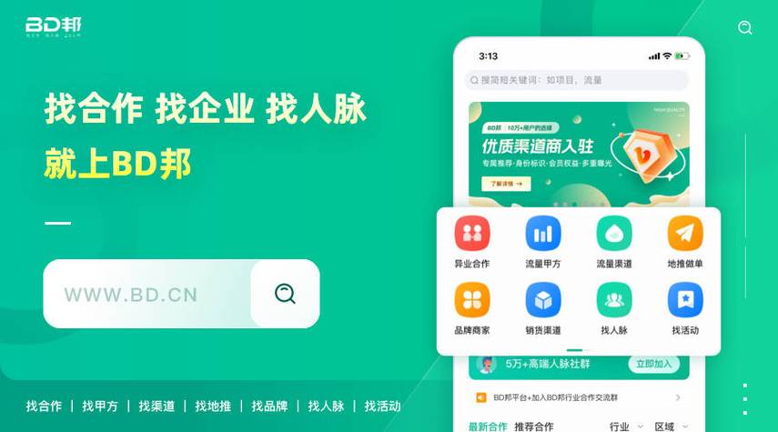 任推邦如何设置预算与出价策略 任推邦成本控制的优化技巧