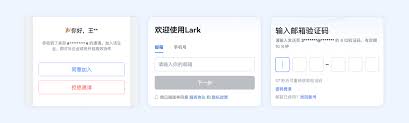 Lark注册验证码收不到怎么解决