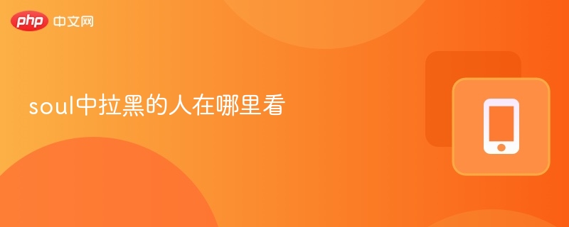 soul中拉黑的人在哪里看
