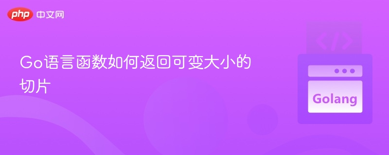 Go语言函数如何返回可变大小的切片