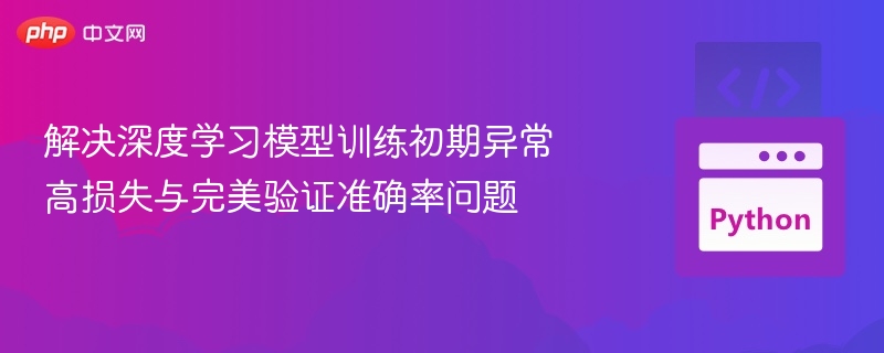 解决深度学习模型训练初期异常高损失与完美验证准确率问题
