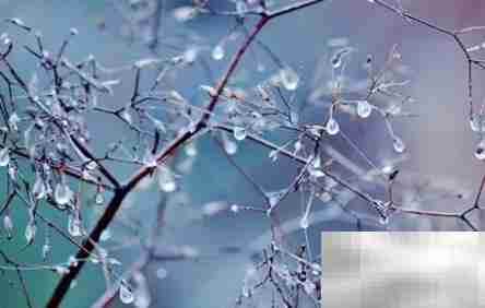 凝结的同义词解析