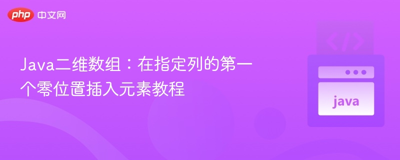 Java二维数组：在指定列的第一个零位置插入元素教程
