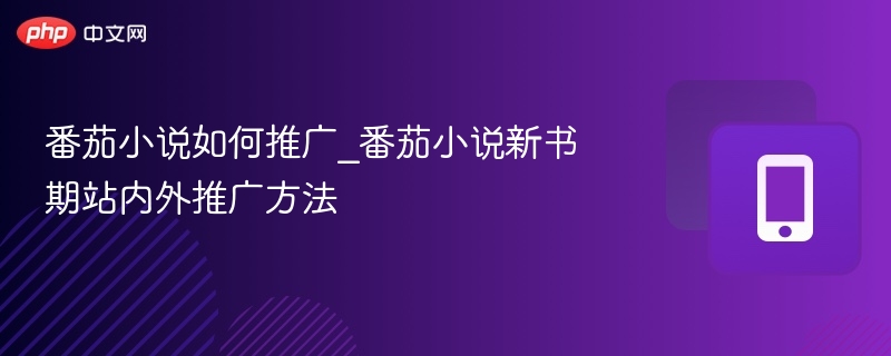 番茄小说新书推广方法详解