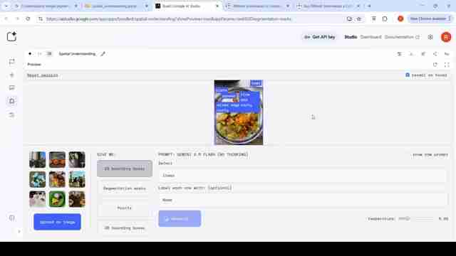 Gemini 2.5：会话式图像分割技术详解及应用场景