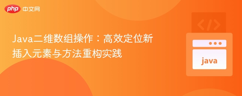 Java二维数组操作：快速定位元素与代码优化技巧