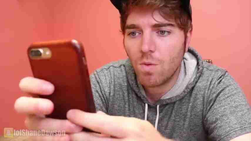 如何与宠物沟通:动物交流工具与技巧终极指南