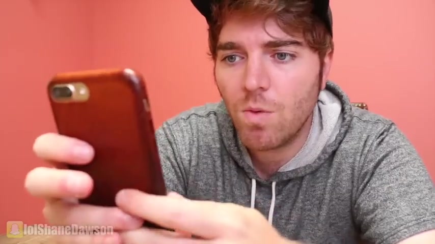 如何与宠物沟通？实用技巧与工具解析