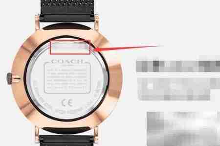 Coach手表型号查询指南