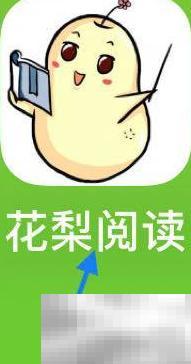 花梨阅读怎么打开电子书？