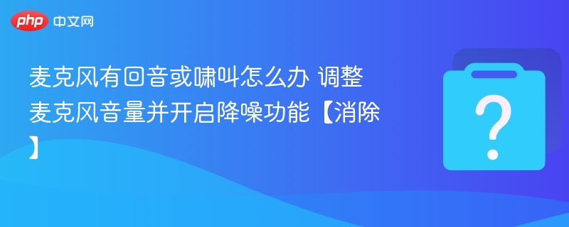 麦克风有回音或啸叫怎么办 调整麦克风音量并开启降噪功能【消除】