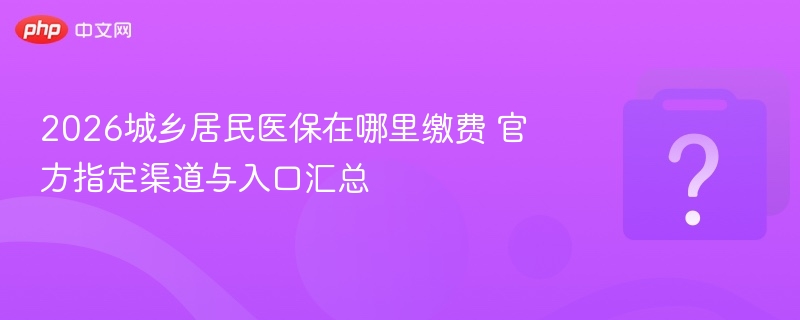 2026城乡居民医保在哪里缴费 官方指定渠道与入口汇总