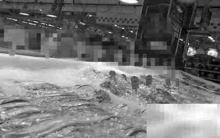 冷库经营秘诀：高效盈利指南