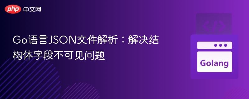 Go语言JSON文件解析:解决结构体字段不可见问题