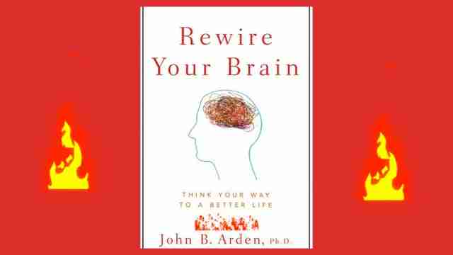 重塑大脑:神经可塑性提升心理健康和认知功能