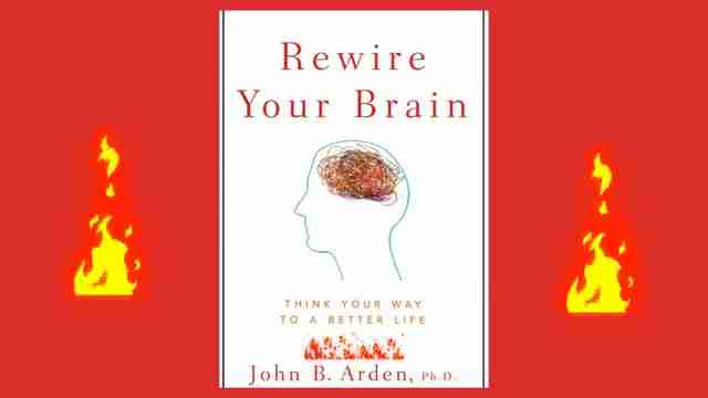 重塑大脑:神经可塑性提升心理健康和认知功能