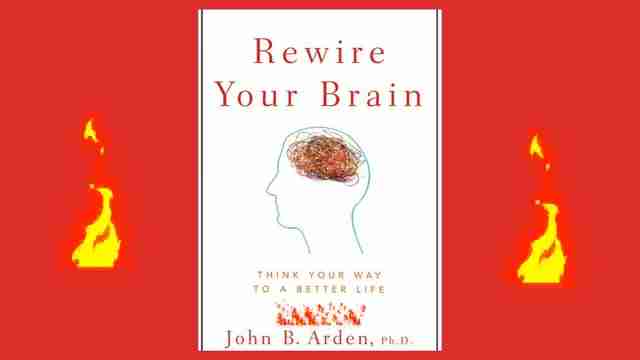 重塑大脑:神经可塑性提升心理健康和认知功能