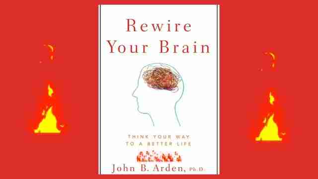 重塑大脑:神经可塑性提升心理健康和认知功能