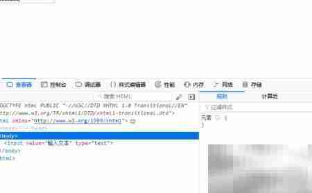 text与password输入类型区别