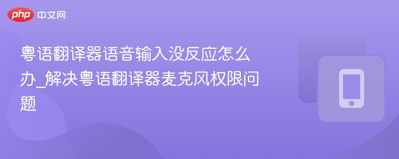 粤语翻译器语音输入没反应怎么办_解决粤语翻译器麦克风权限问题
