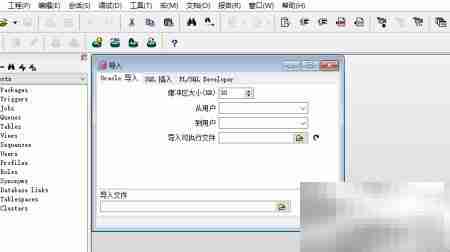 Oracle数据库快速导入指南