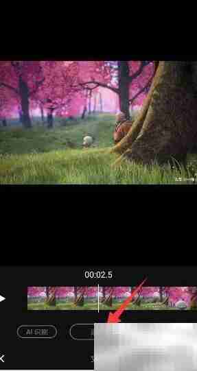 短视频动态字幕添加技巧