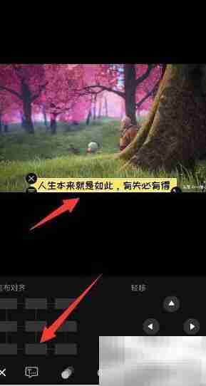 短视频动态字幕添加技巧