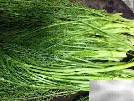 茴香蒸菜,家常美味