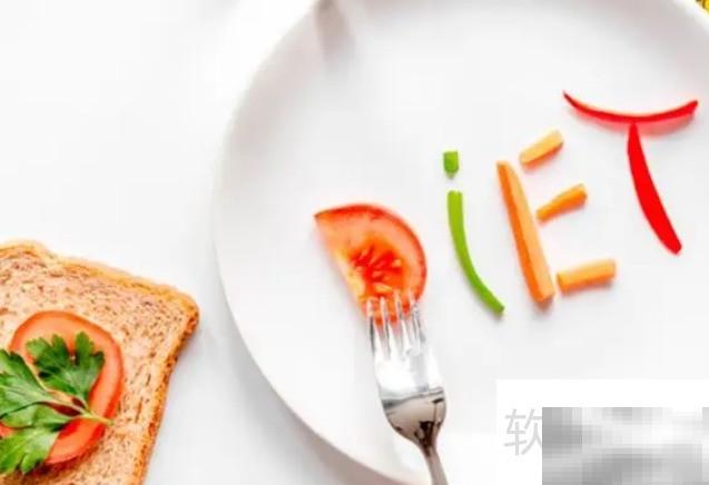 diet什么意思？全面解析
