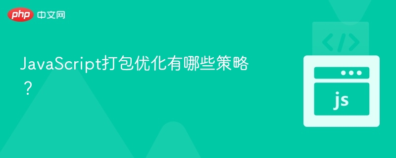 JavaScript打包优化有哪些策略？