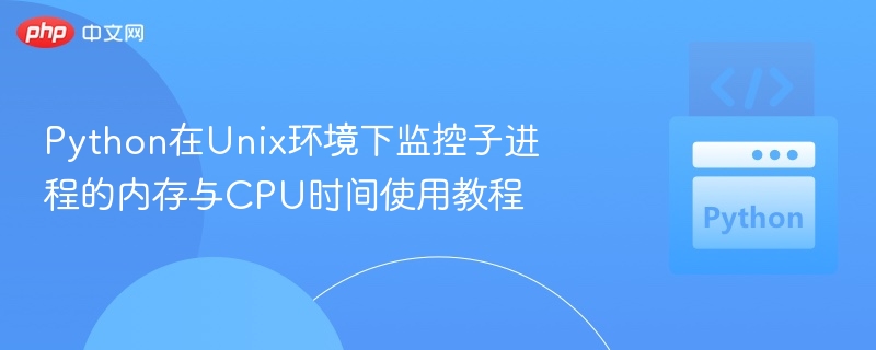 Python监控进程资源使用方法