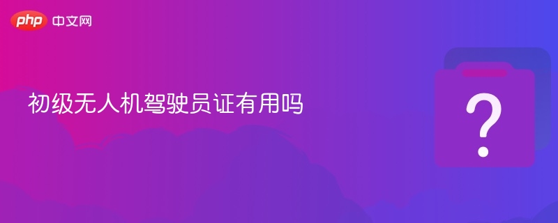 初级无人机驾驶员证有用吗