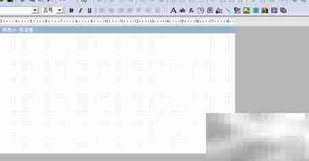 Grid++Report文字框参数绑定技巧