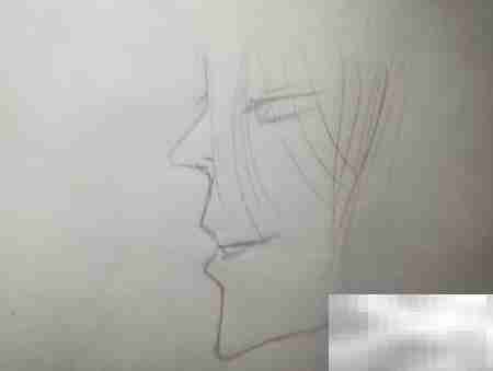 轻松画动漫,零基础速成