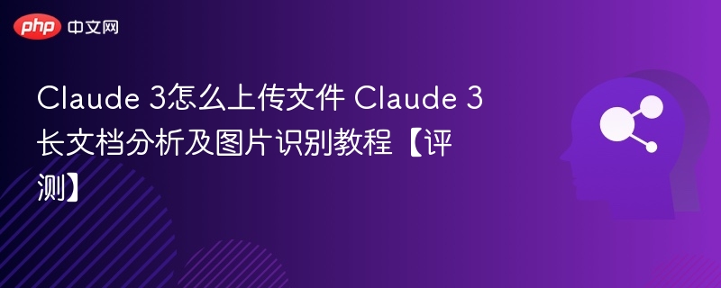 Claude3文件上传与图文分析教程