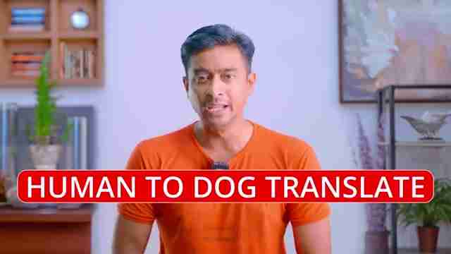 宠物翻译App评测:与猫狗交流的未来科技?