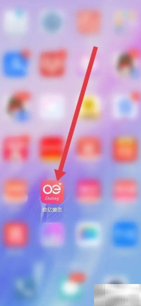 欧亿婚恋平台资质怎么查？