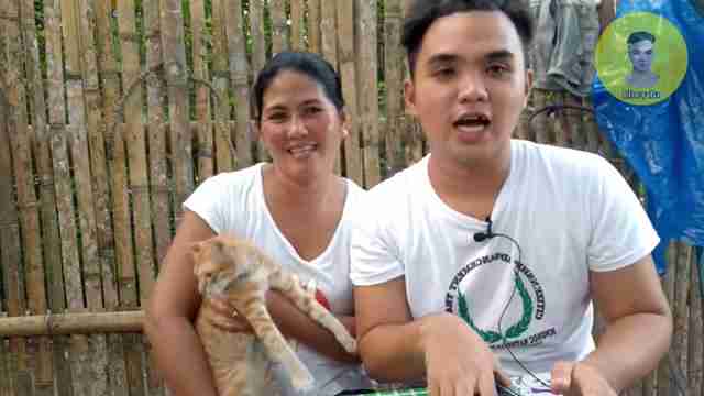 趣味猫语翻译器评测：真能听懂猫咪心声？