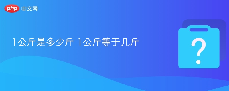 1公斤等于2斤，1公斤就是2斤