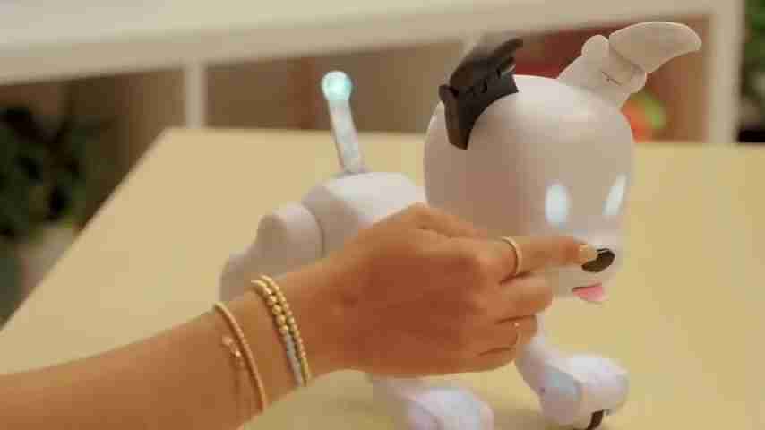 2025年亚马逊AI宠物机器人选购终极指南：17款最佳推荐