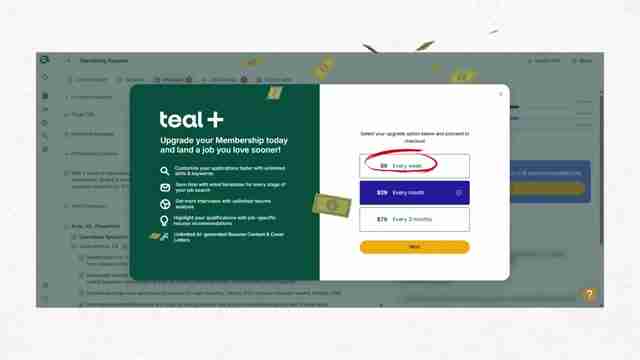使用Teal HQ AI简历生成器,轻松打造完美简历