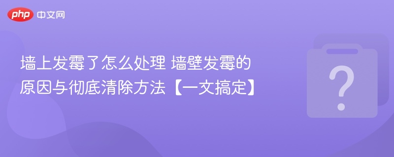 墙上发霉了怎么处理 墙壁发霉的原因与彻底清除方法【一文搞定】