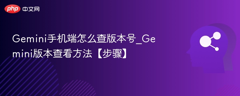 Gemini手机版本号怎么查？详细步骤分享