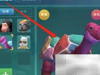 彩壳龟饲料搭配与喂养建议