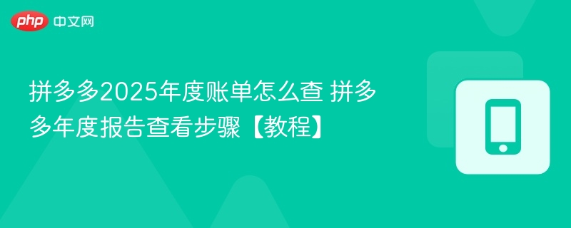 拼多多2025年度账单怎么查 拼多多年度报告查看步骤【教程】
