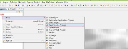 JavaWebService入门教程实例解析