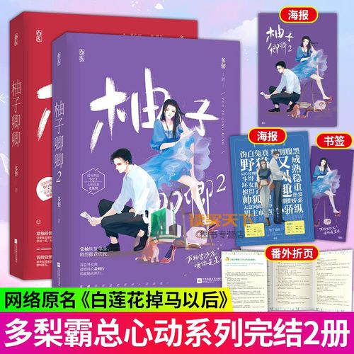 柚子小说官网最新版，2025在线阅读入口